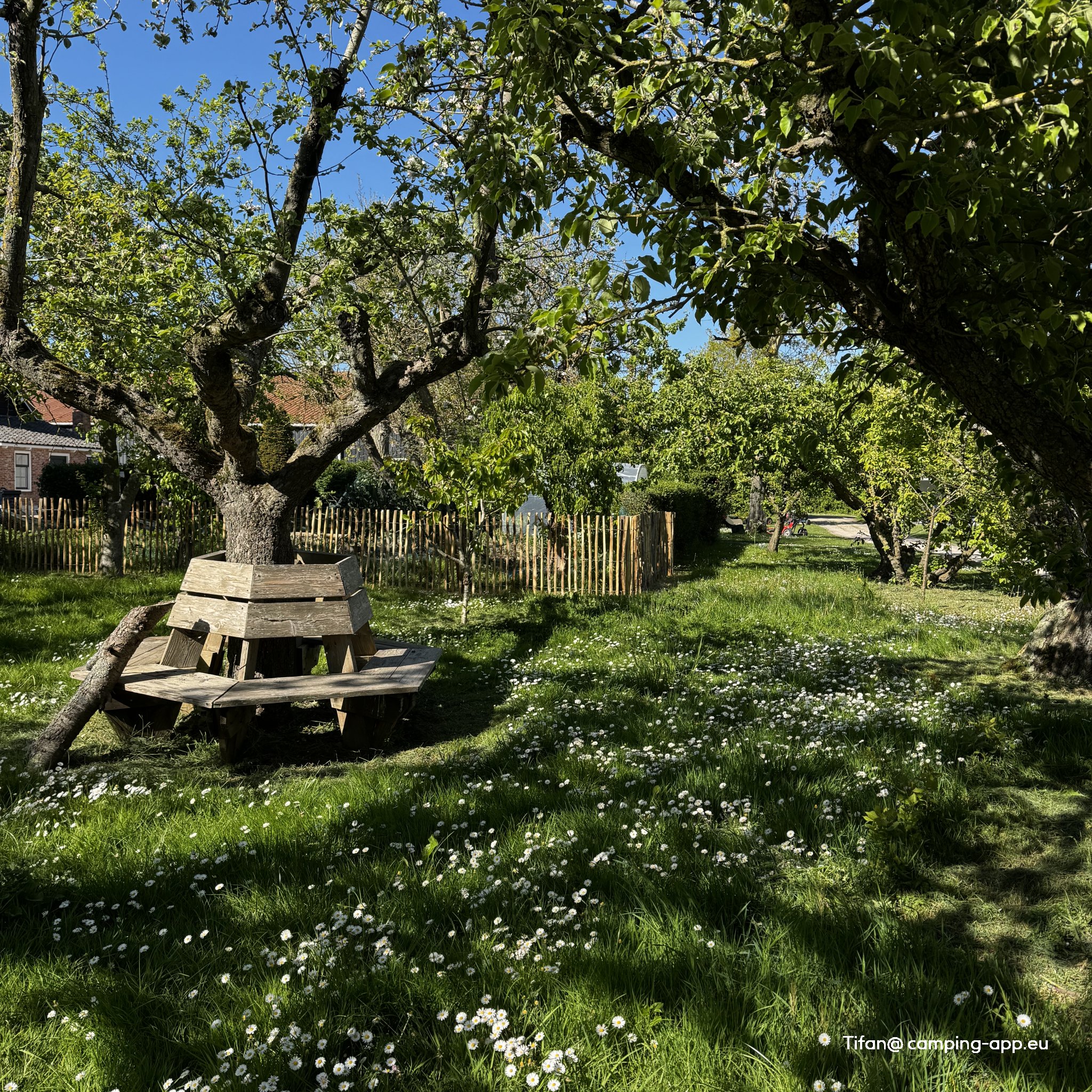 Minicamping Roos en Doorn — Photo 5