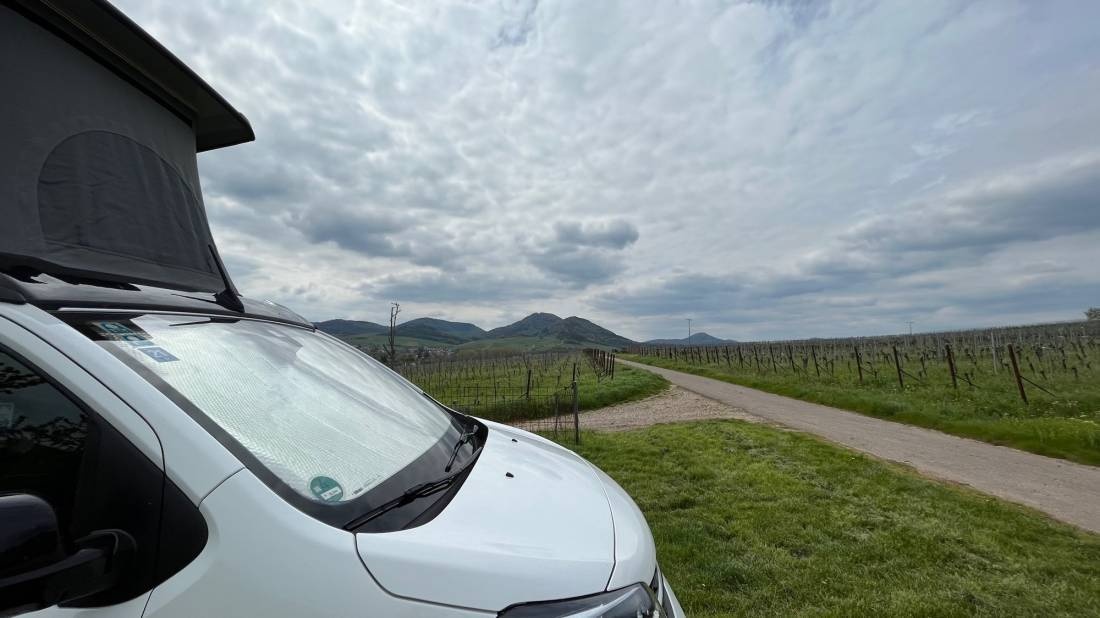 Bioland Wein- und Sektgut Marienfelder Hof — Winery in Siebeldingen