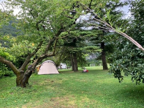 Agricampeggio L'albero delle mele