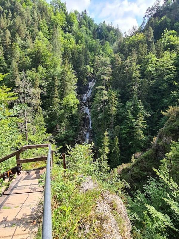 Naturparkzentrum Ötscher-Basis — Stellplatz in Wienerbruck