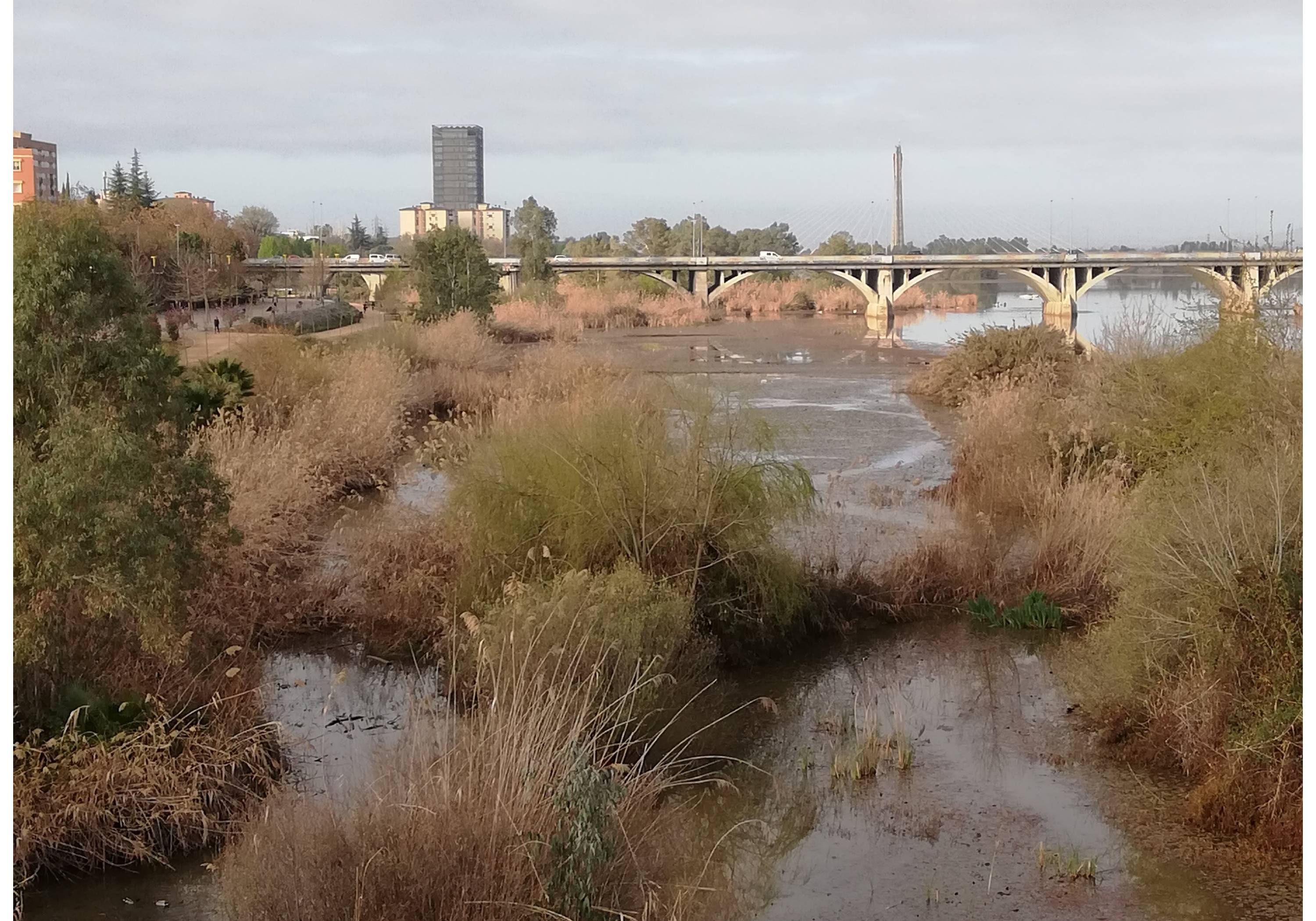 Stellplatz Badajoz — Karavan Sitesi in Badajoz