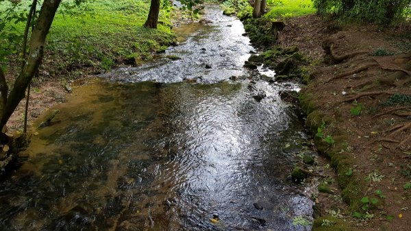 Stellplatz Siebentäler-Therme Bad Herrenalb — Foto 4