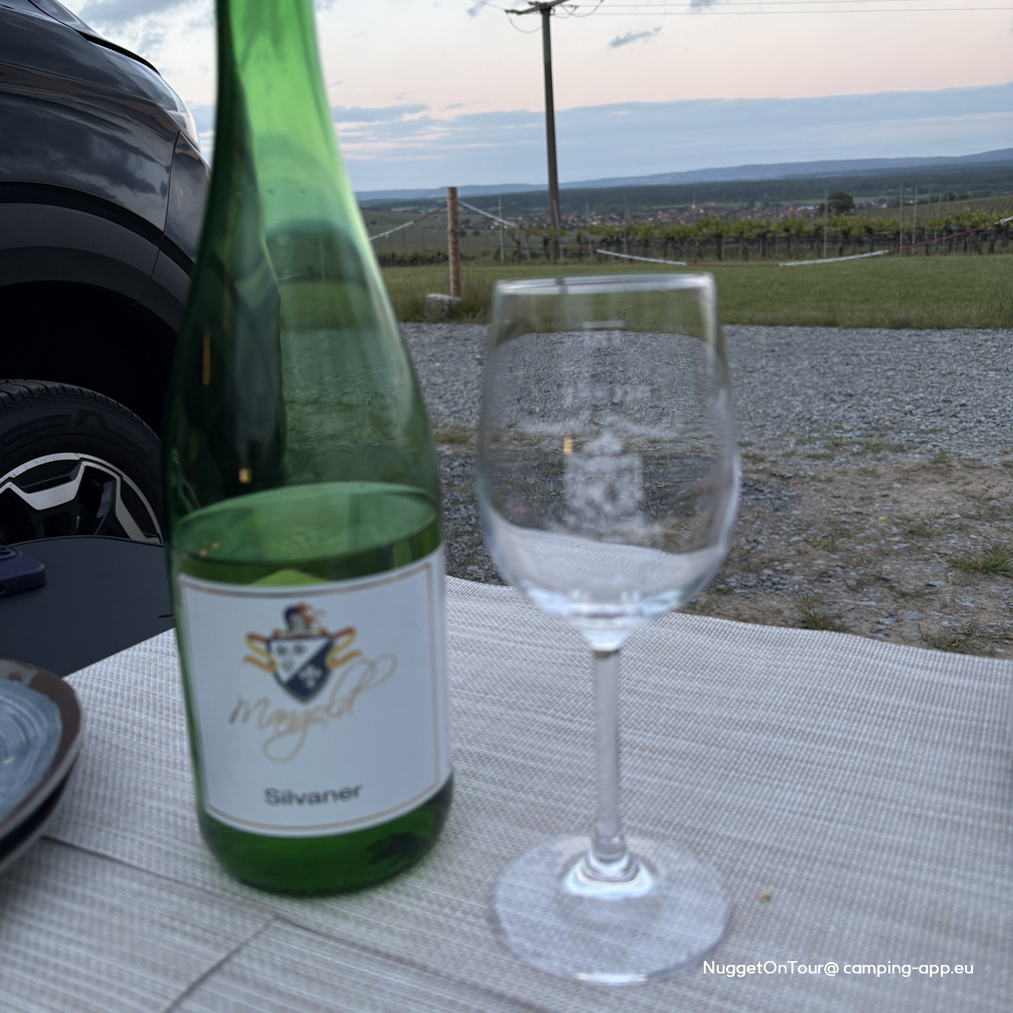 Panoramastellplatz Weingut Mangold — Foto 6