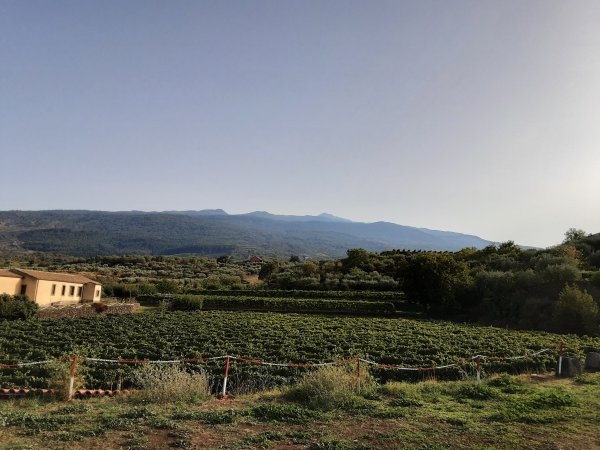 Etna Wine Agriturismo — Sp. parking dla kamperów in Castiglione di Sicilia