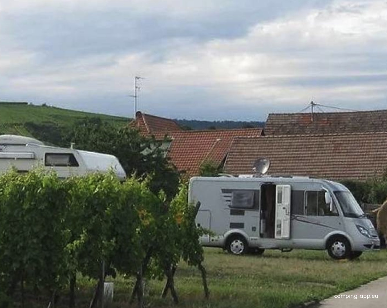 Stellplatz Spitz et fils — Winery in Blienschweiler