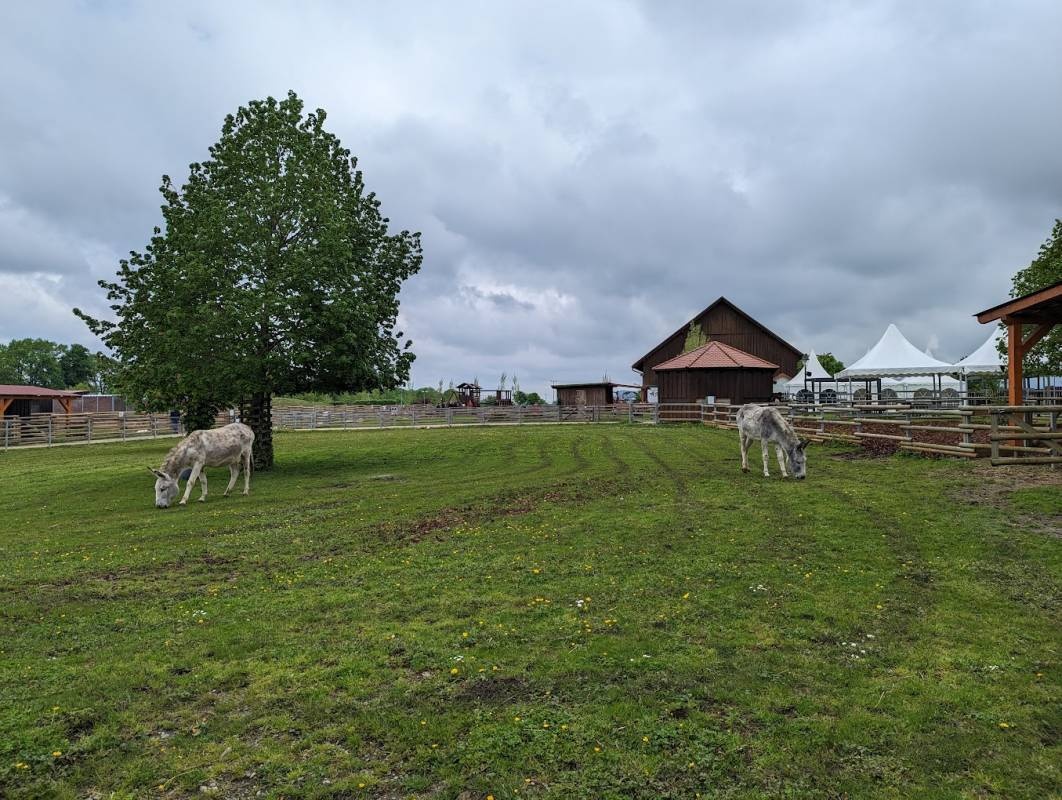 Parkplatz am Hofgut Domäne — Campervan Site in Hechingen