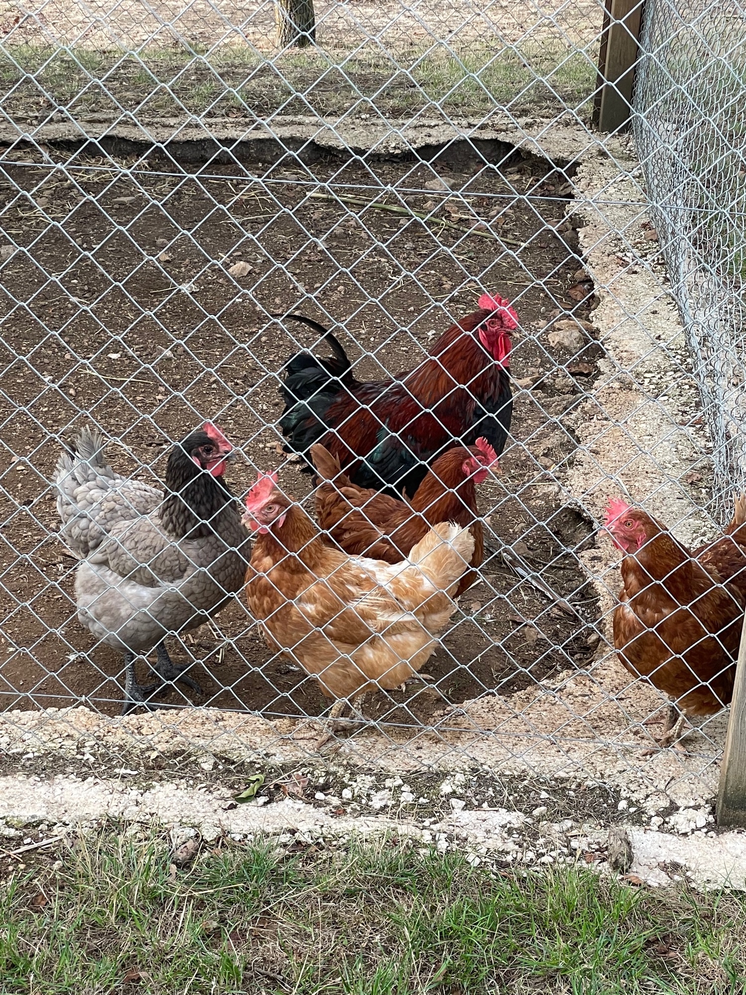 Stellplatz Savigny-le-Sec — Stellplatz in Savigny-le-Sec