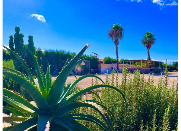 Cabo de Gata Camper Park — Photo 4