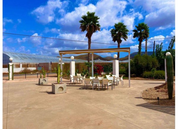 Cabo de Gata Camper Park — Photo 3