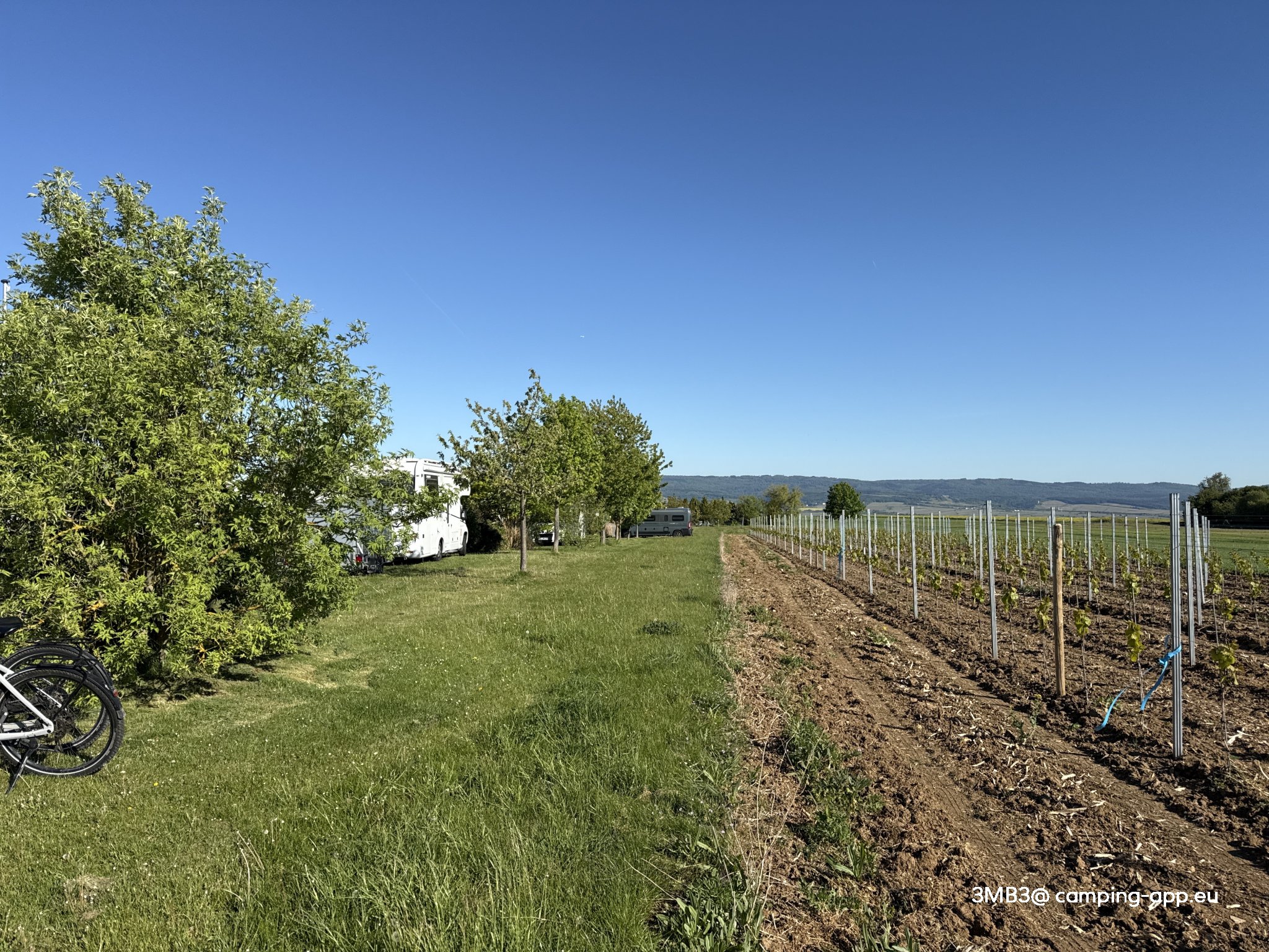 Stellplatz Wein- und Sektgut Menk — Vinícola in Ingelheim am Rhein