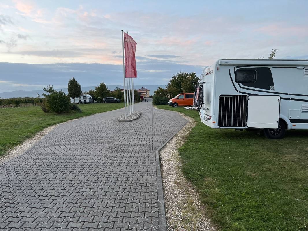 Stellplatz Wein- und Sektgut Menk — Winery in Ingelheim am Rhein