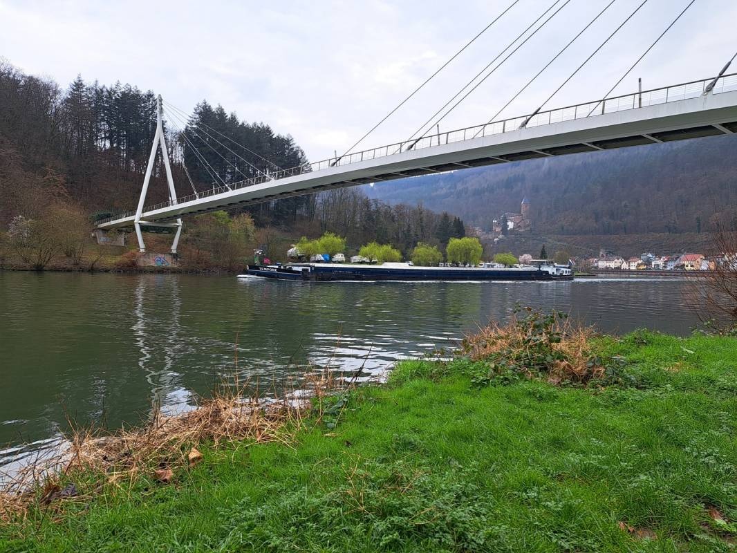 Stellplatz Zwingenberg (max 5 m) — Sp. parking dla kamperów in Zwingenberg
