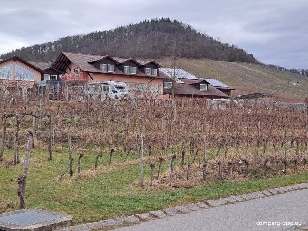 Stellplatz Panoramaweingut Baumgärtner — Foto 4