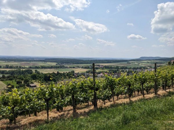 Stellplatz Panoramaweingut Baumgärtner — Photo 5