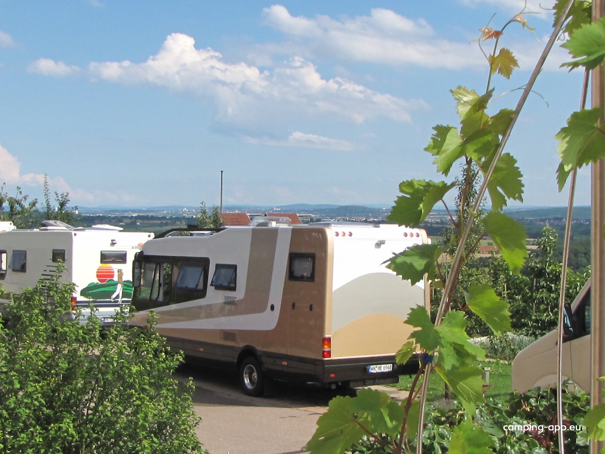 Stellplatz Panoramaweingut Baumgärtner — Foto 3