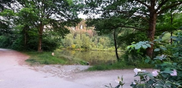 Stellplatz Landgasthof Kastlhof — Photo 2