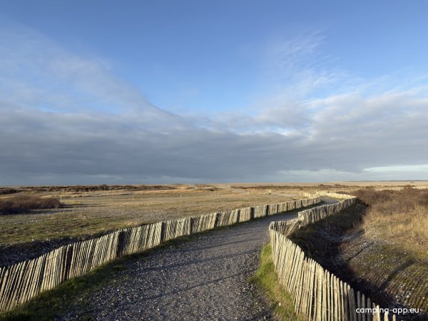 Stellplatz Cayeux-sur-Mer — Foto 5