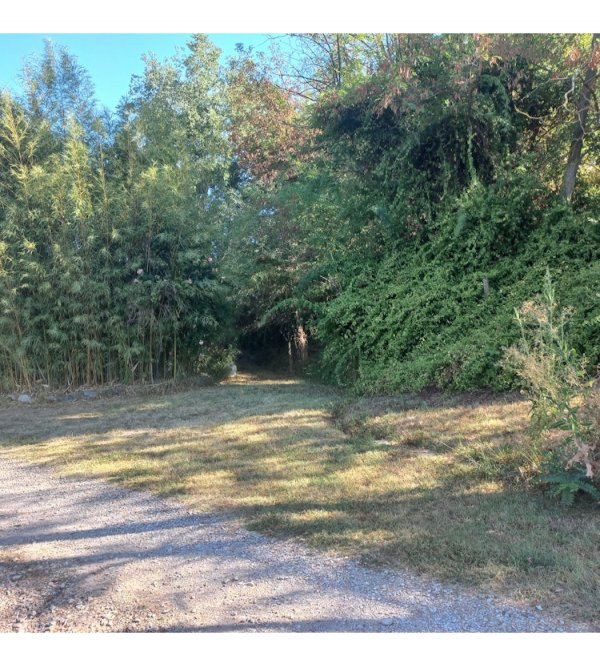 Stellplatz Montone — Photo 2