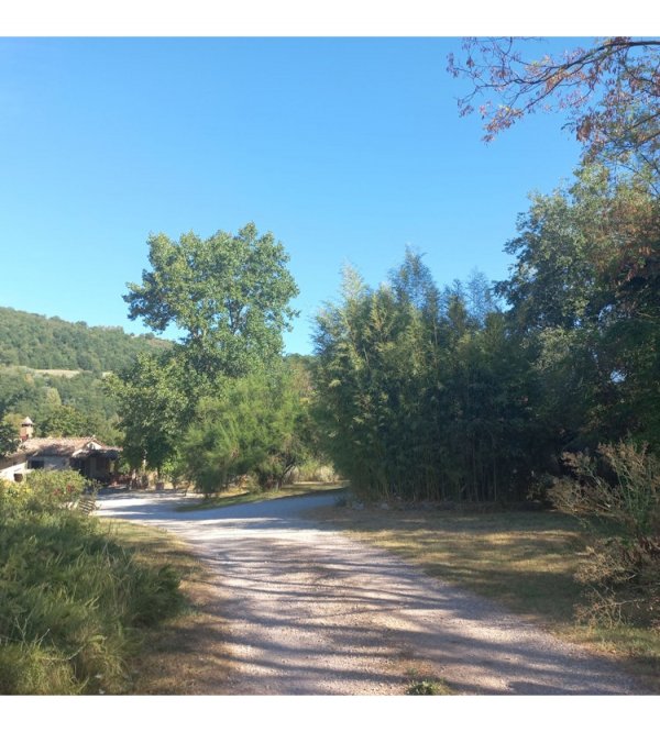 Stellplatz Montone — Photo 5