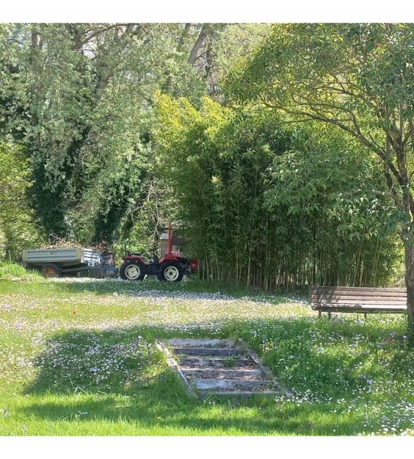 Stellplatz Montone — Photo 6