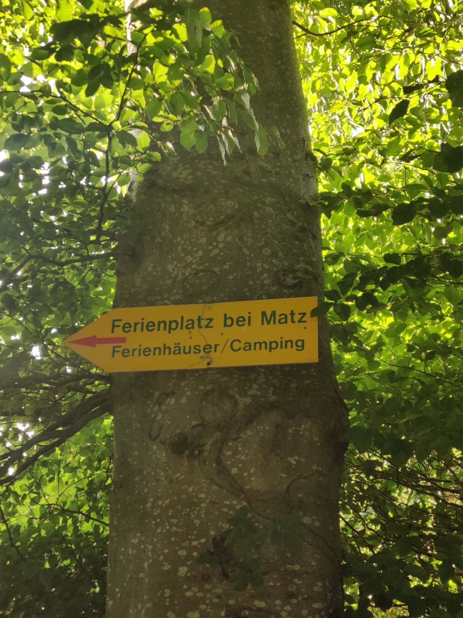 Stellplatz Ferienplatz Matz — Area di sosta in Ahlefeld-Bistensee