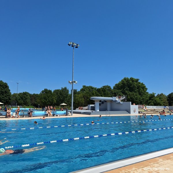 Stellplatz Offenbach an der Queich — Photo 5