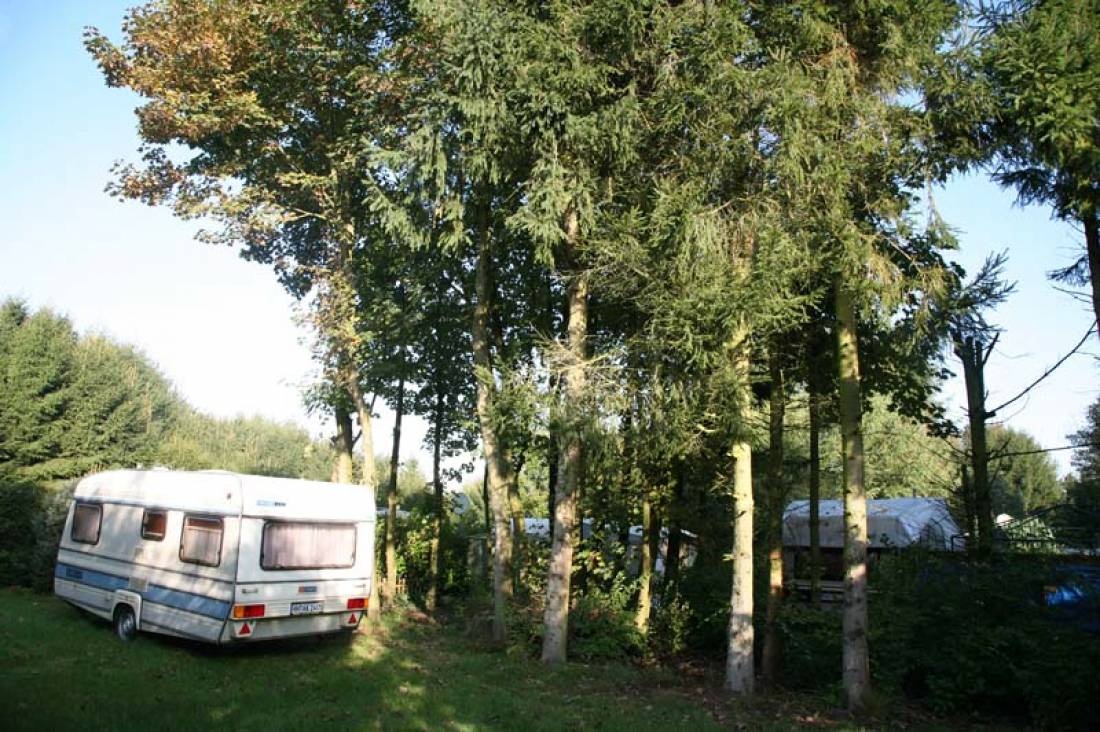 Campingplatz Sauensiek — Campingplatz in Sauensiek