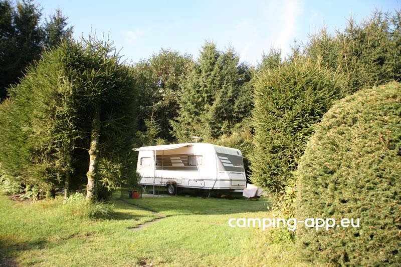 Campingplatz Sauensiek — Foto 5