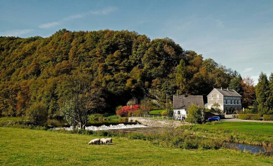 Camping Gaststätte Hahnhof — Camping in Wissen