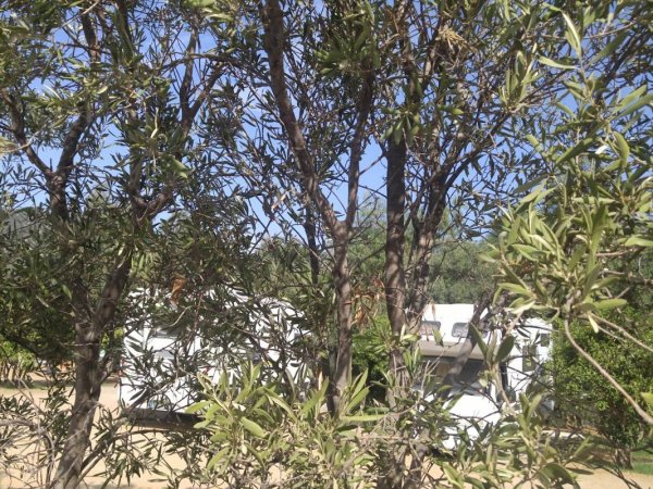 Stellplatz Gli Aranci