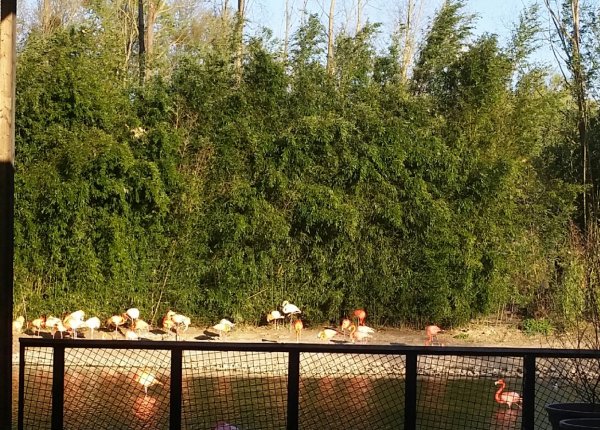 Parking Parc des Oiseaux (max. 3.5t) — Photo 2