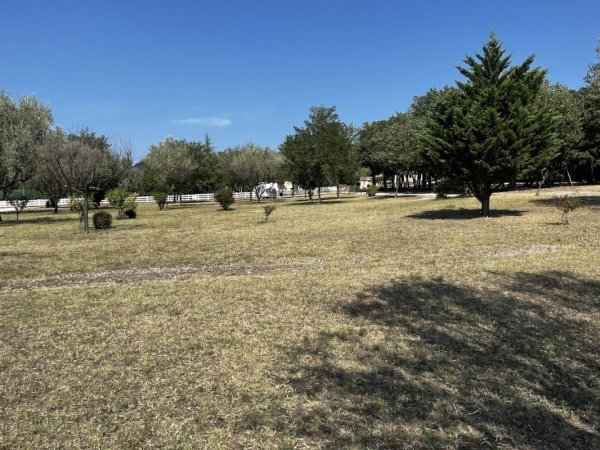 Aire de Toronne — Photo 3