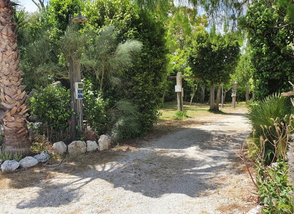 Stellplatz Oasy Park — Photo 4