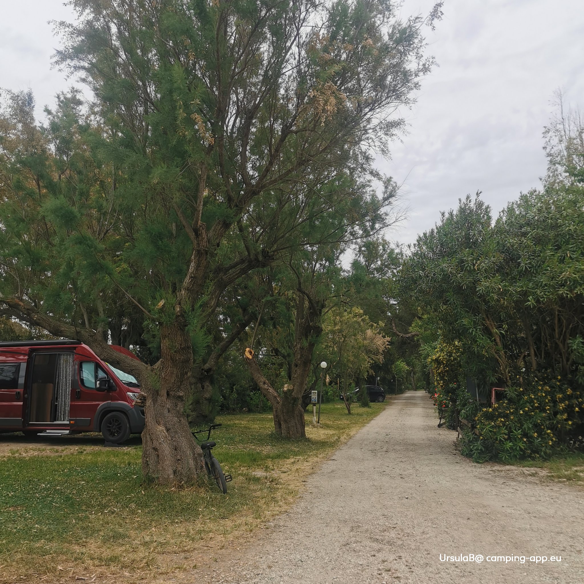 Camping La Foce dei Tramonti — Foto 3