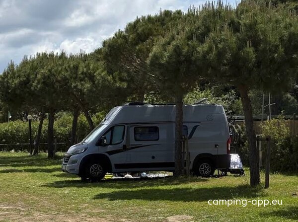 Nomad Argentario