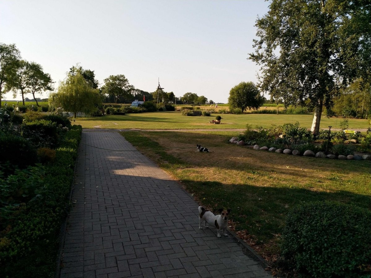 Stellplatz am Hof Iggewarden Butjadingen — En el restaurante in Butjadingen-Fedderwardersiel