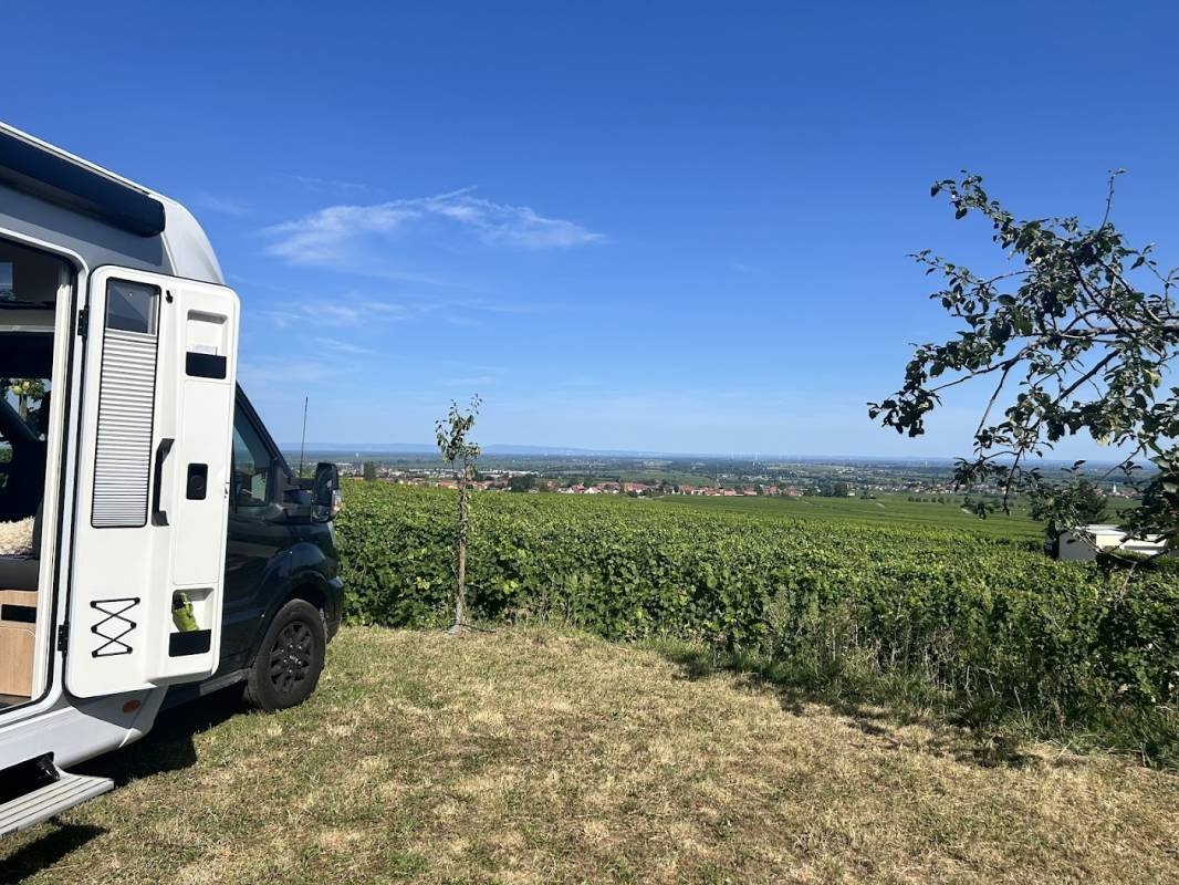 Stellplatz Weingut Möwes — Winery in Weyher in der Pfalz