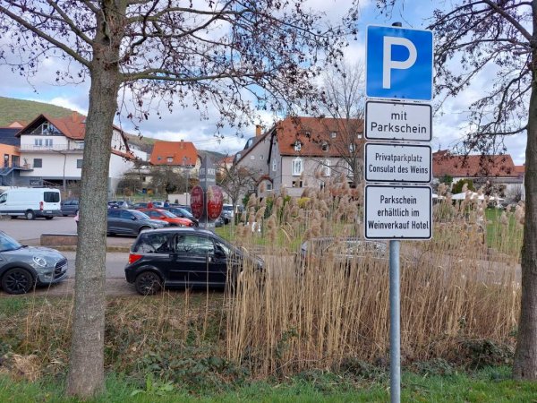 Stellplatz Wein & Sekthof Holger Schneider — Photo 5