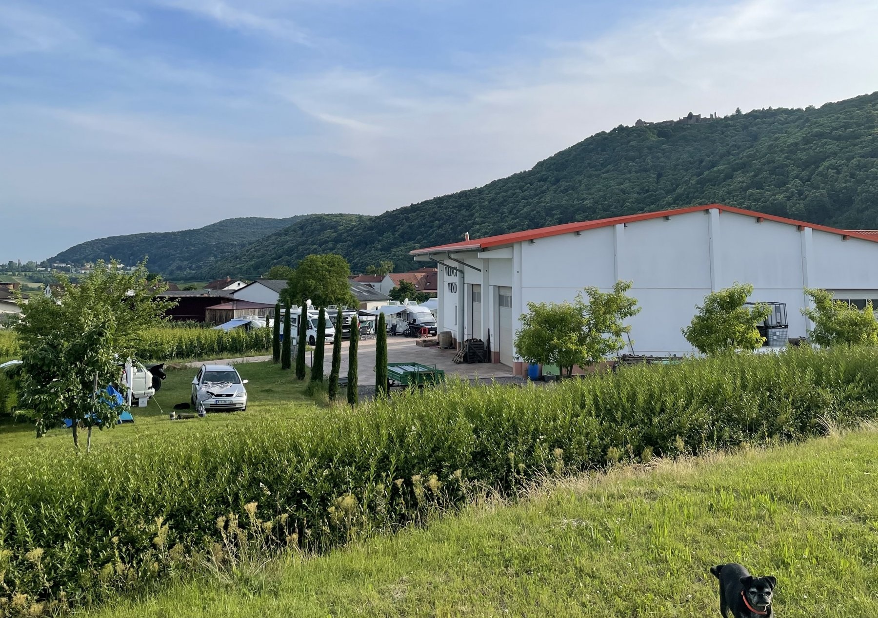 Stellplatz Weingut Wind — Winery in Eschbach