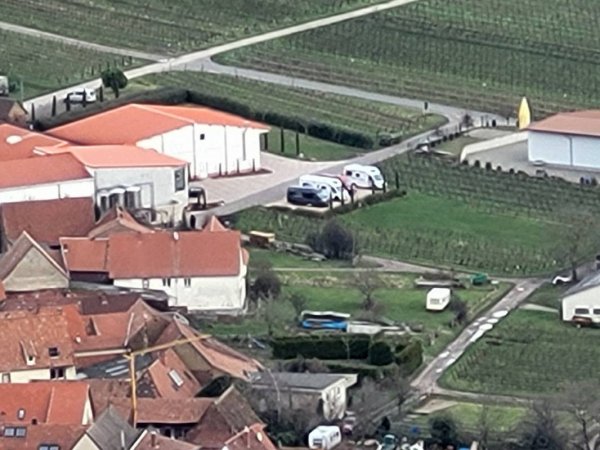 Stellplatz Weingut Wind — Photo 5