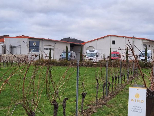 Stellplatz Weingut Wind — Photo 4
