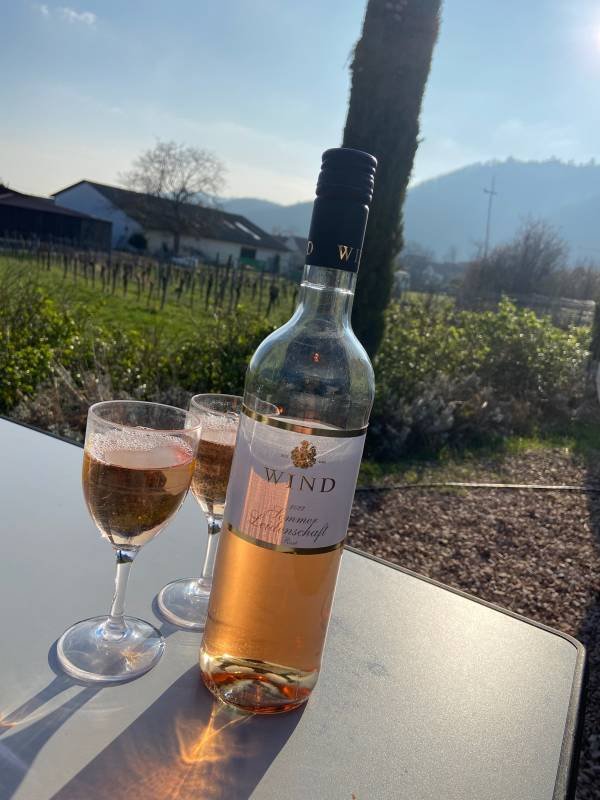 Stellplatz Weingut Wind — Photo 6