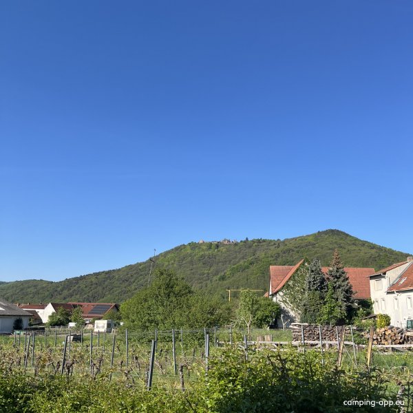 Stellplatz Weingut Wind — Fotografie 3