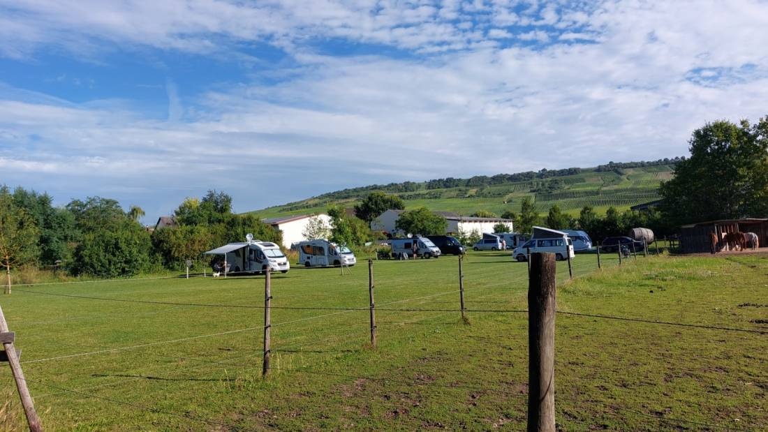 Stellplatz Winzerhof Schnabel — Vinícola in Gau-Bickelheim