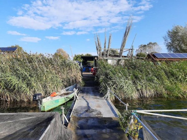 Stellplatz Fischerei Reimer — Photo 2