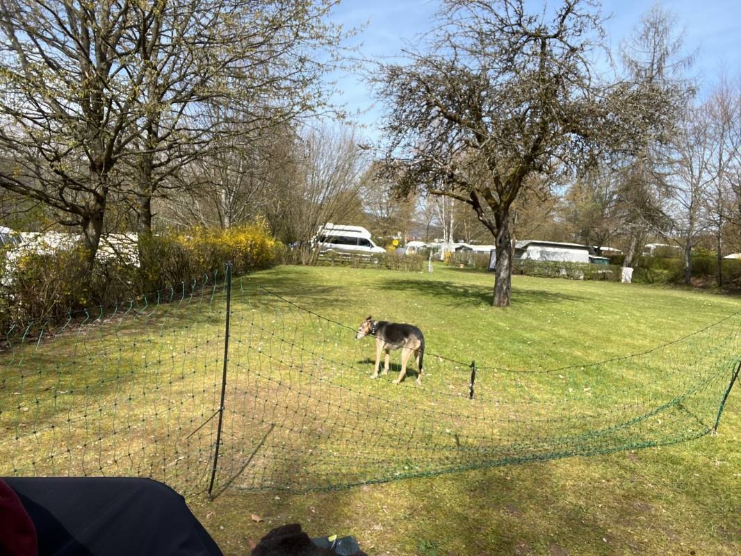 Spessart Camping Schönrain — Місце для кемпінгу in Gemünden am Main