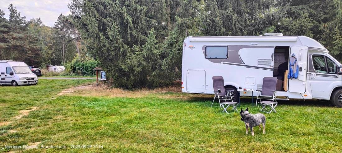 Flugplatz Reinsdorf — Sp. parking dla kamperów in Niederer Fläming