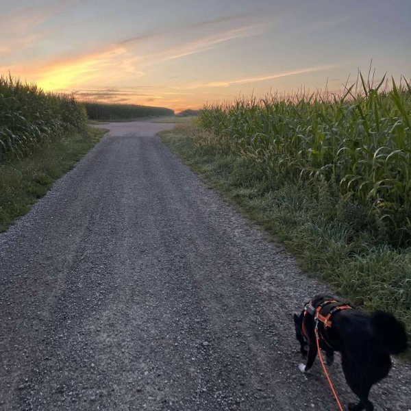 Stellplatz am Naturfreibad — Photo 3