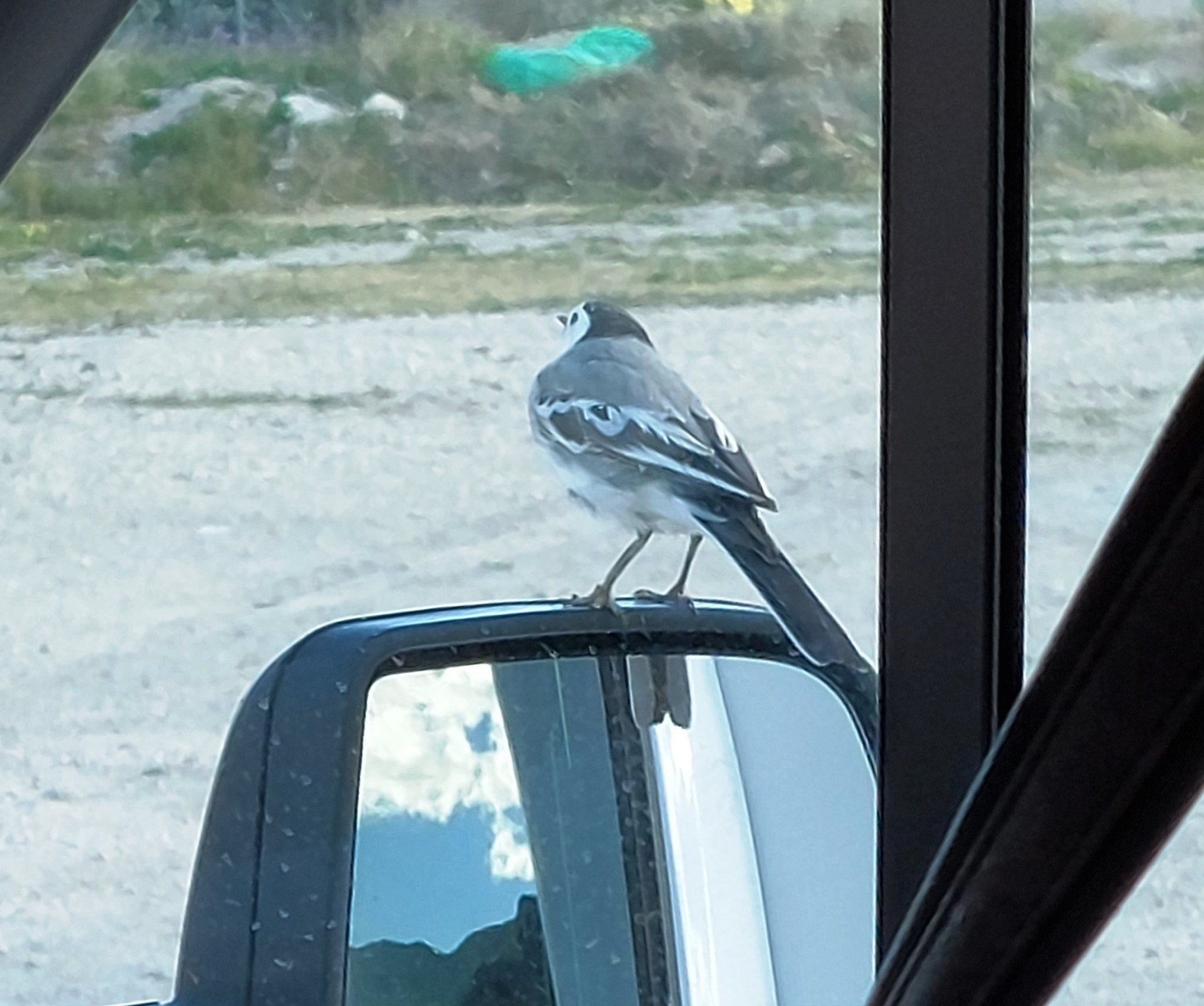 Stellplatz Ricote — Stellplatz in Ricote