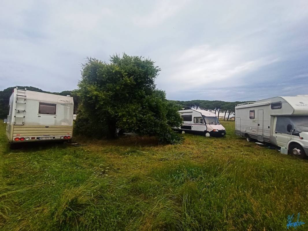 Stellplatz Rosignano Marittimo — Campervan Site in Rosignano Marittimo